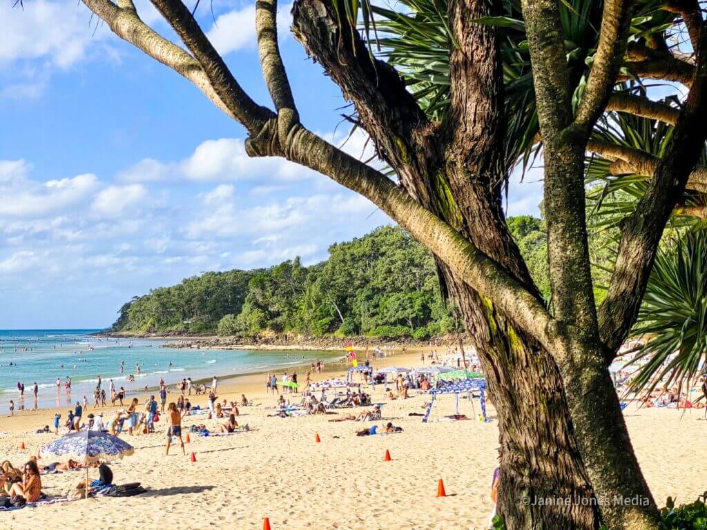 Noosa Heads Main Beach wth Banyan Tree in foreground and headland in background